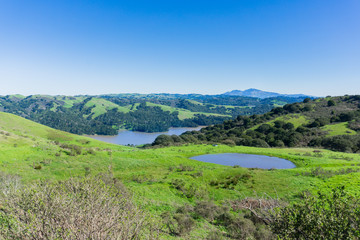 Fototapeta na wymiar Hills and meadows in Wildcat Canyon Regional Park; San Pablo Reservoir; Mount Diablo in the background, east San Francisco bay, Contra Costa county, California