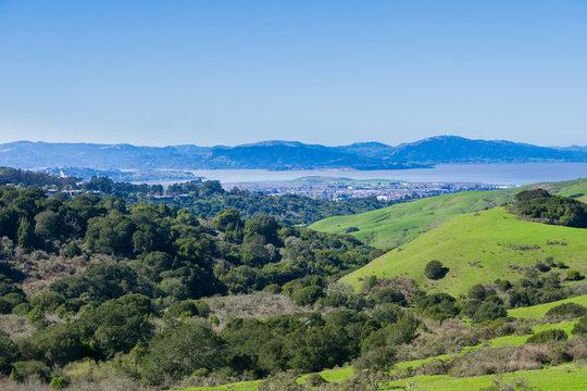 View Towards San Pablo Bay From Wildcat Canyon Regional Park, East San Francisco Bay, Contra Costa County; Marin County In The Background, California