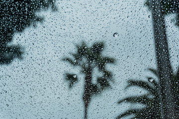 Drops of rain on the window; blurred palm trees in the background; shallow depth of field