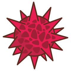 anatomy human microbes