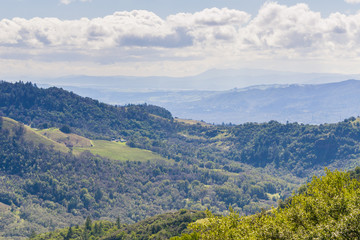 Fototapeta na wymiar Vineyards on the hills of Sonoma County, Sugarloaf Ridge State Park, California