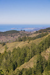 View towards the Pacific Ocean and Pillar Point Harbor from Purisima Creek Redwoods Park on a clear day, California