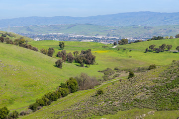 Fototapeta na wymiar Landscape in Santa Teresa park, San Jose, Santa Clara county, San Francisco bay area, California