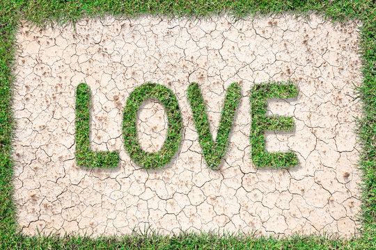 Love text with green grass growing on brown dry soil or cracked ground texture background.Love concept