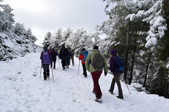  Hiking. From a hikes on the Karia trail.Turgut Castle. The Hydas Acropolis.Karia is on the way. Mugla. Turkey. tourism in pine forest Hike Turkey
