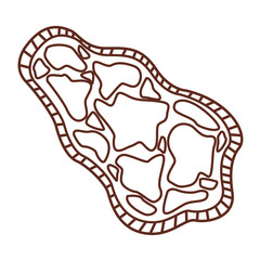 anatomy human microbes