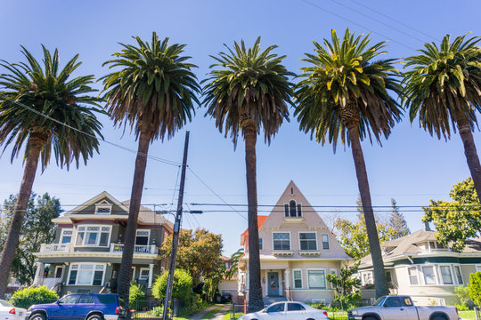 Old Houses And Palm Trees On A Street In Downtown San Jose, California