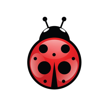ladybug icon in red vector illustration