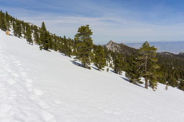 Fototapeta na wymiar Snowy landscape on the trail to Mount San Jacinto peak, California