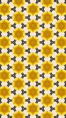 Ornate geometric pattern and abstract colored background