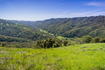 View towards Hunting Hollow valley, Henry Coe state park, California