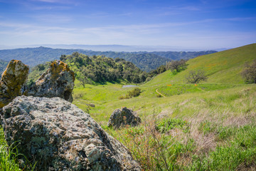 Lichen covered boulders beside a trail in Henry W. Coe State Park, California