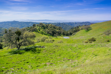 Fototapeta na wymiar Verdant hills and valleys in Henry Coe state park, California