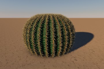 Cactus