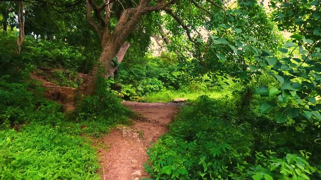 paisaje naturaleza