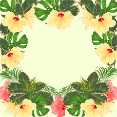Frame tropical flowers  floral arrangement, with   pink and yellow  hibiscus and  palm,philodendron  vintage vector illustration  editable hand draw