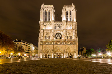Fototapeta premium summertime at Notre dame cathedral in Paris