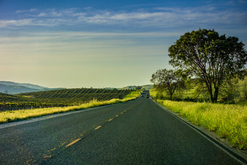 Driving through the countryside, California