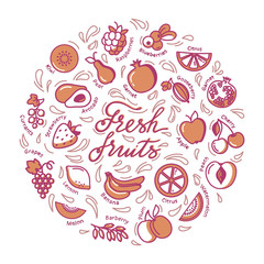 Fruits illustration. Circle frame with fruit icons. Concept illustration for groceries, agriculture stores, packaging and advertising.