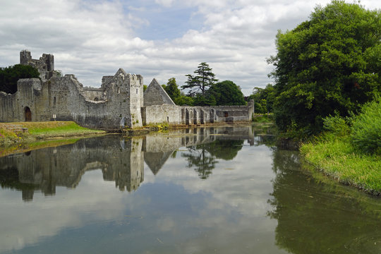 Desmond Castle