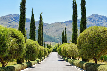 Cape Winelands - Franschhoek Valley - Grande Provence