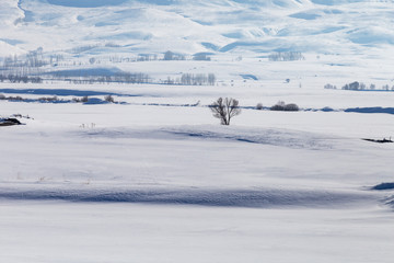 winter mountain landscape