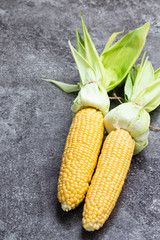 Raw corn on cobs on grey table