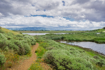 Trail in Coyote Hills Regional Park on a cloudy spring day, east San Francisco bay, California