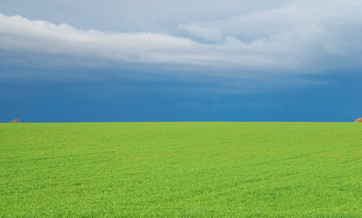Beautiful landscape: view of green field and skyline