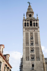 Fototapeta na wymiar Seville cathedral Giralda