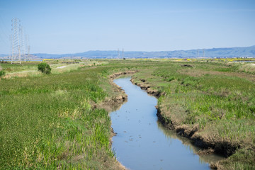 Creek running among the marshes of San Francisco bay, Mountain View, California