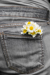 Dark rough jeans and gentle daisies
