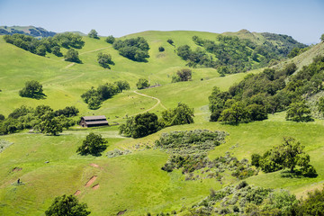 Fototapeta na wymiar Verdant hills and valleys, cattle grazing and old farm house, Sunol Regional Wilderness, San Francisco bay area, California
