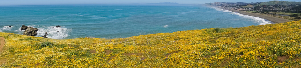 Superbloom at Mori Point, Pacifica, San Francisco bay, California