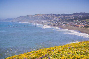 Superbloom at Mori Point, Pacifica, San Francisco bay, California