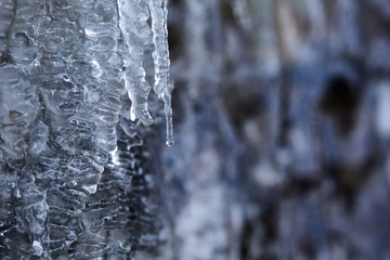 Obraz premium Icicles in closeup shot