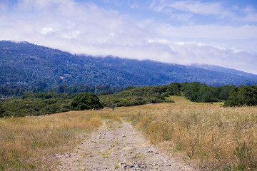 Hiking trail through grasslands, San Francisco bay area, California