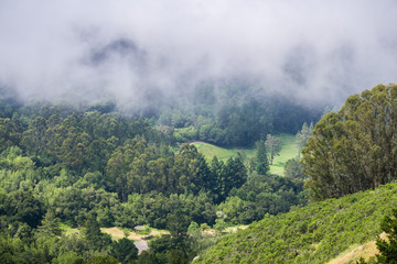 Retreating fog, San Francisco bay area, California