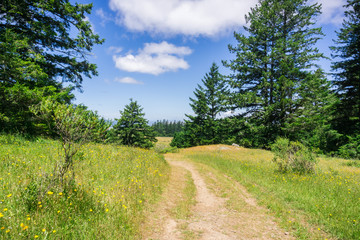 Hiking trail on the hills of north San Francisco bay, California