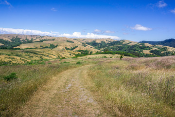 Fototapeta na wymiar Hiking trail on the hills of north San Francisco bay, California