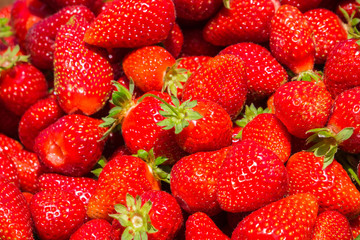 Organic strawberries, California