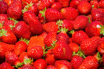 Organic strawberries