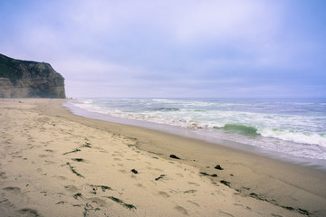 Sandy beach on the Pacific Ocean coastline on a foggy afternoon, California