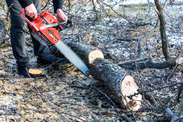 Chainsaw wood saw cut
