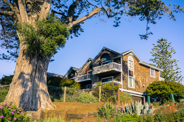 Fototapeta na wymiar Residential neighborhood, Santa Cruz, California