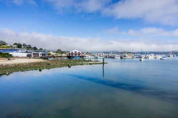 Fototapeta na wymiar The shoreline of San Francisco bay area in Sausalito, California