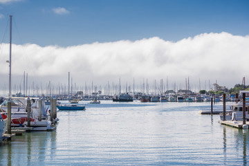 Fototapeta na wymiar Marina in Sausalito, San Francisco bay, California