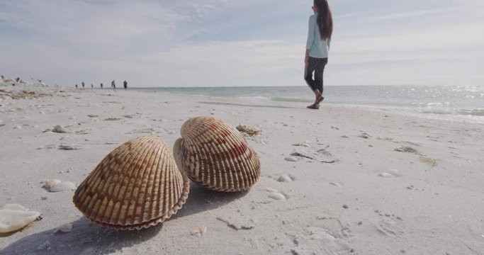 Seashells on beach with woman walking in background - sea shells on Sanibel Island in Florida near Fort Myers. Sanibel Island is know for shelling and sea shell collecting.