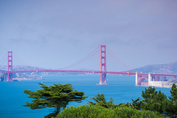 Golden Gate Bridge as seen from the coastal trail, California