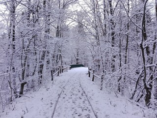 Winter in Saxony/Germany, Dezember 2018